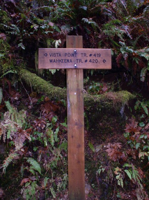 Waukeena Mult Falls 11.26.05 032 